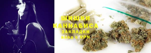 ECSTASY Вяземский