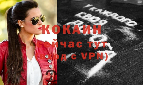 мдпв Шарыпово