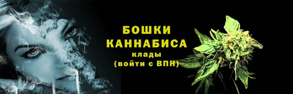 ECSTASY Вяземский